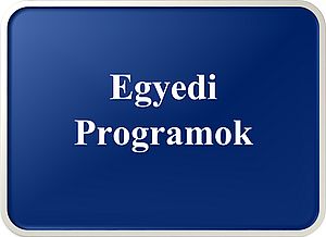 Egyedi programok_v300