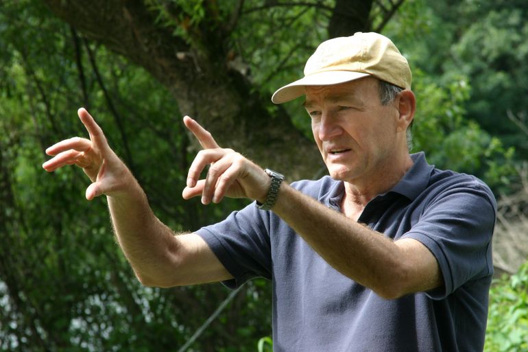 Kohézió_Folyékony_Arany_770_2