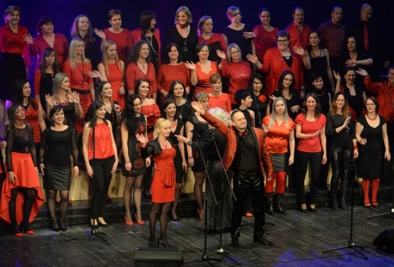 Kohézió_Sig_Singer_2019_770_3