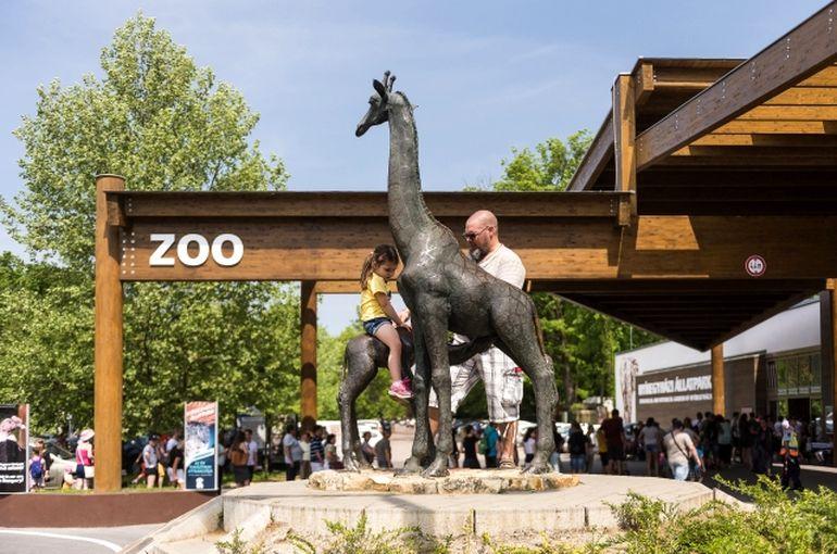 Az idei év ismét különleges lesz a SóstóZoo Állatparkban
