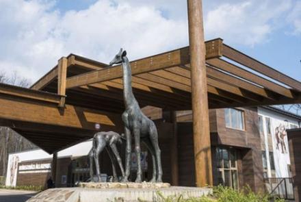 SóstóZoo - Nyíregyházi Állapark 1.